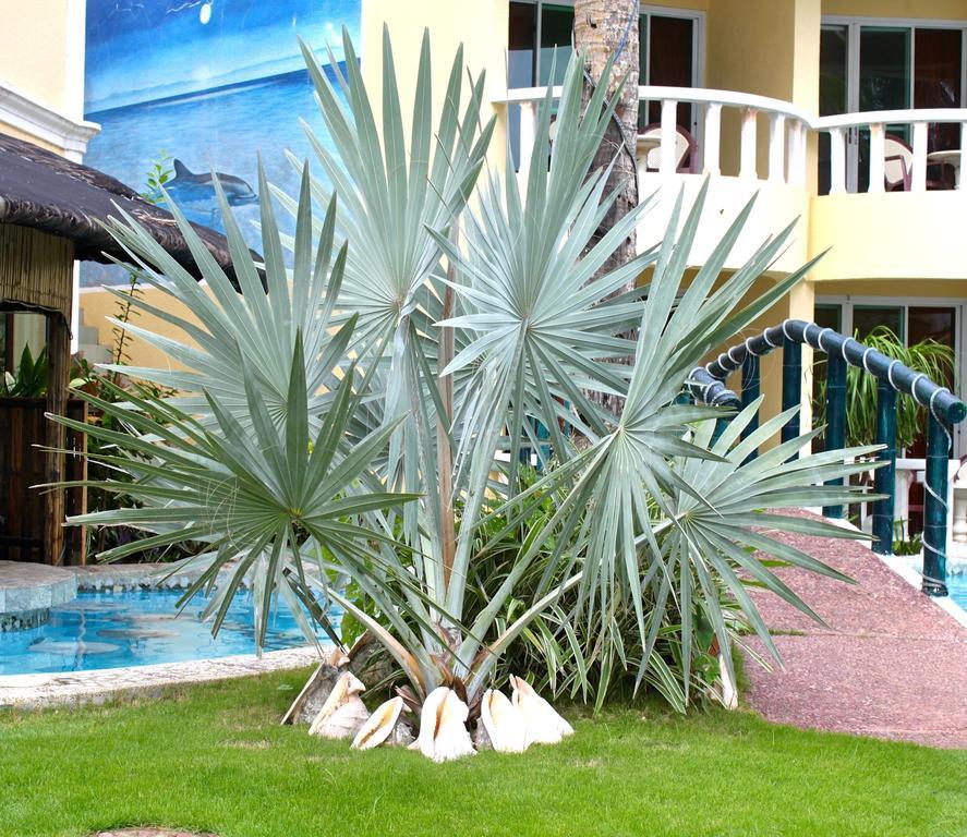 Paradise Bay - Beach & Watersport Resort Balabag  Extérieur photo